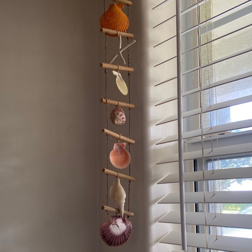 Seashell Hanging Wall Decor - Multicolor set of 2